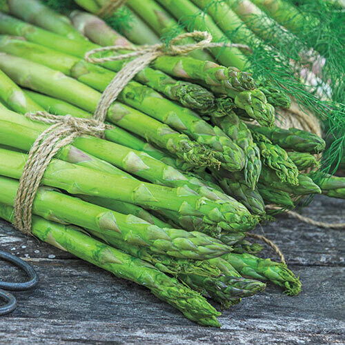 AsparaBest Asparagus