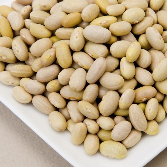 Peruano Mayocoba  Beans