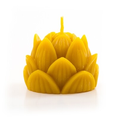 Specialty Beeswax Candles