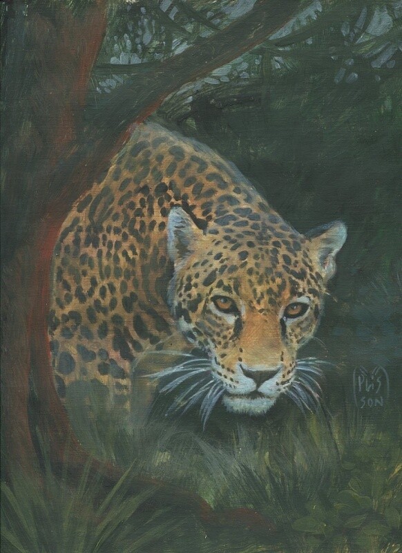 Jaguar de la forêt de Vilcabamba - Papier toilé Canson Figuéras pour l&#39;huile - 30 x 24 cm