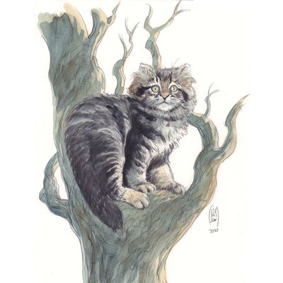 Portraits personnes ou animaux à la demande
