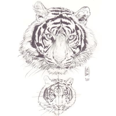 Études et dessins préparatoires