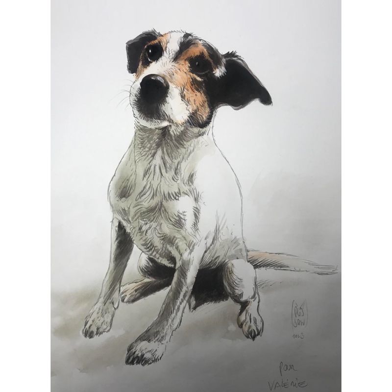 Exemple de portrait animal de compagnie ou autre... (tête ou corps complet) A4