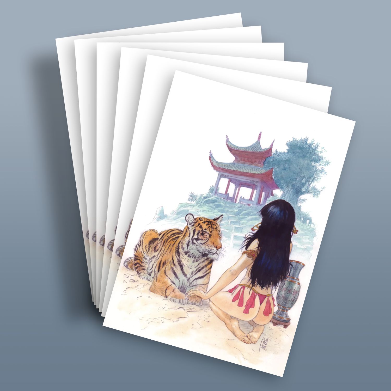 Lot de 6 cartes postales.