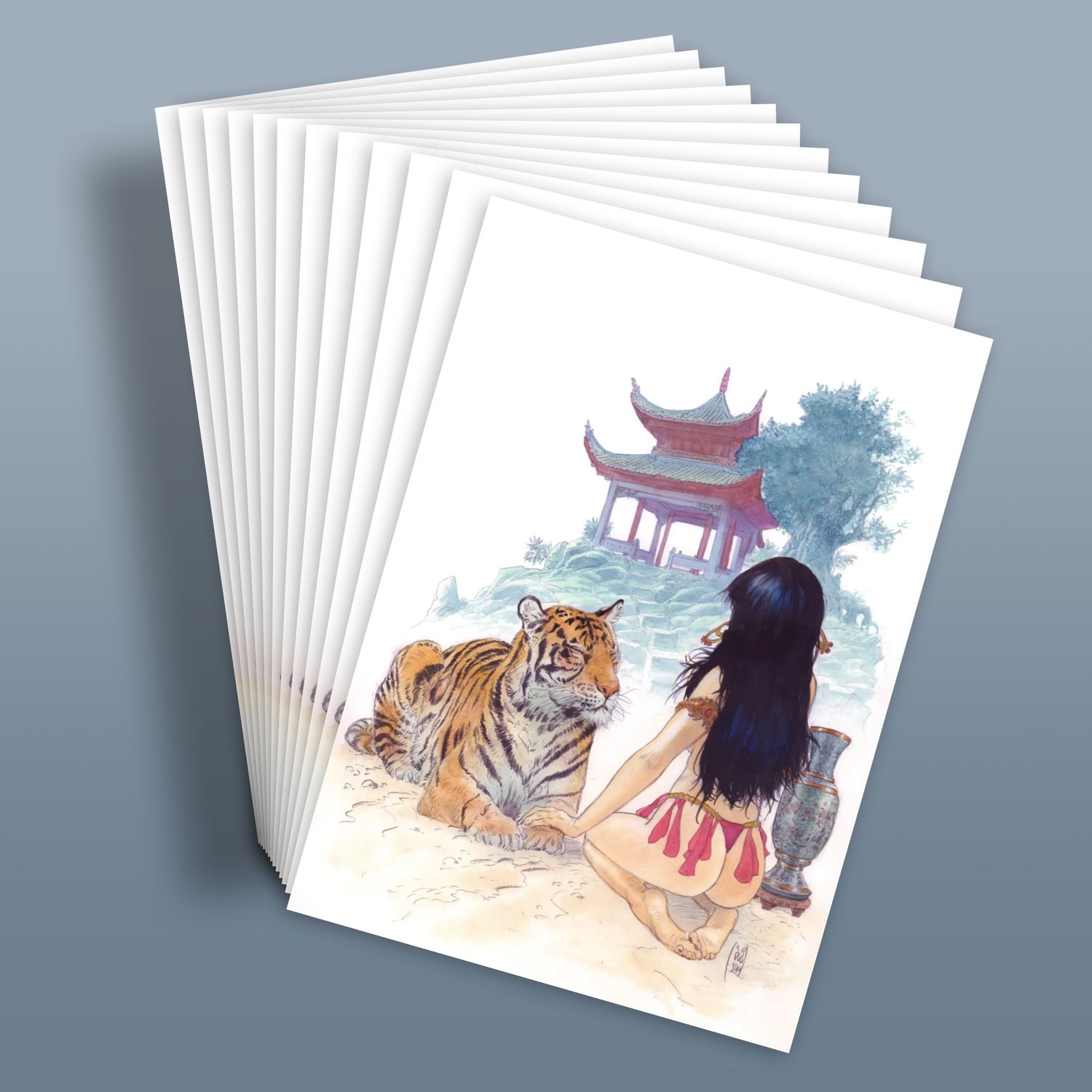 Lot de 12 cartes postales.
