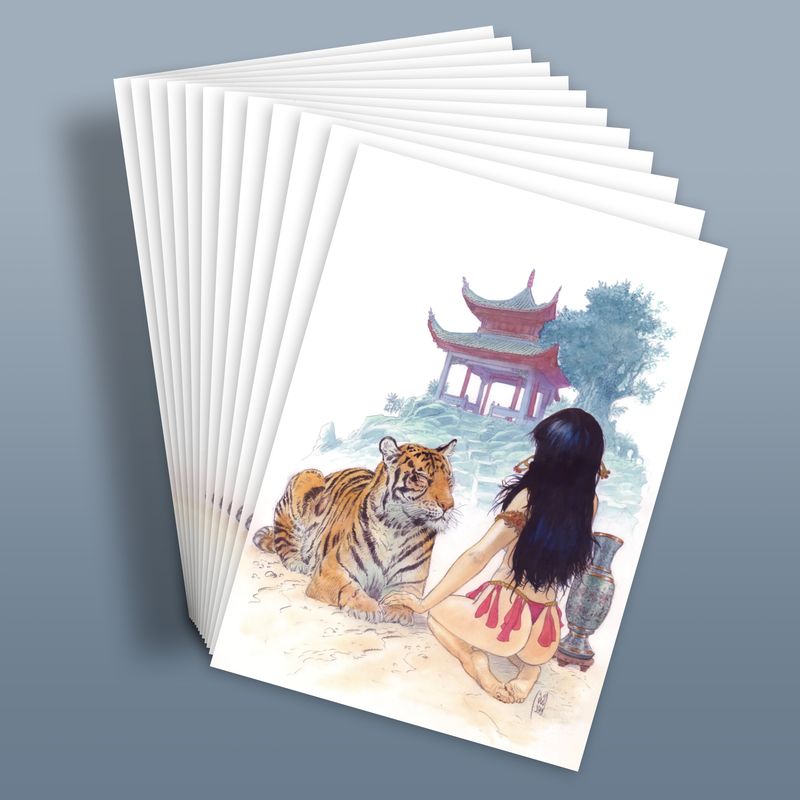 Lot de 12 cartes postales.