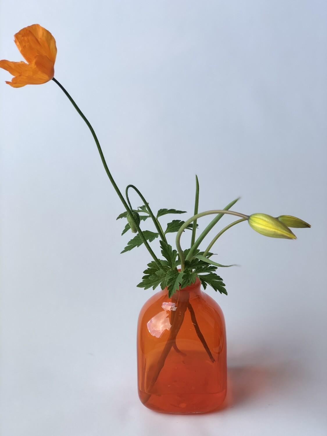 Blekkhusvase