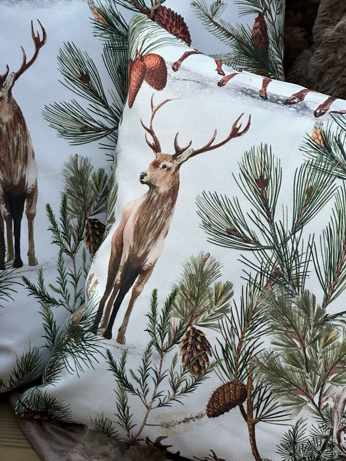 Kissenhülle ‚Bregenz‘ 50x50