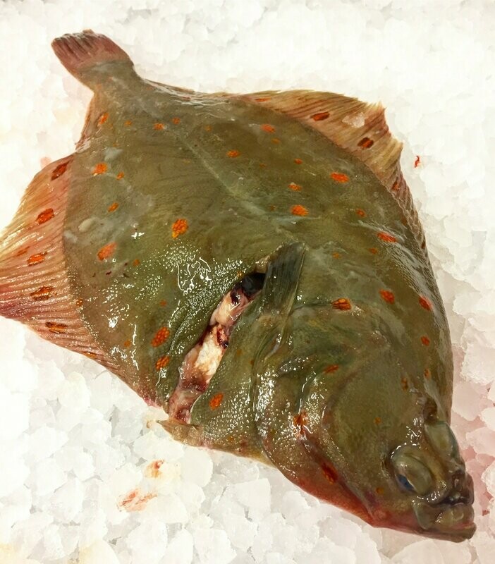 Dorset Plaice 600g