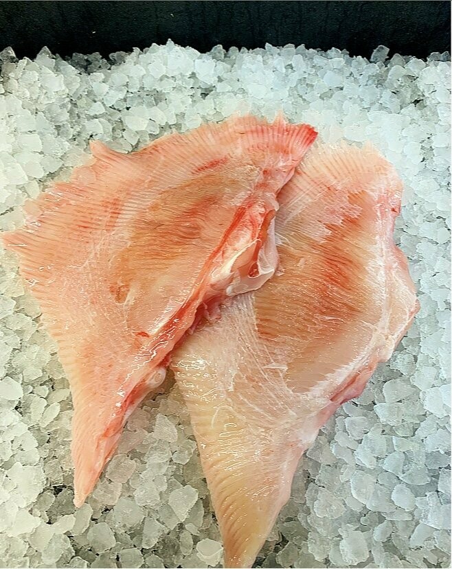 Guernsey Skate Wing 450g