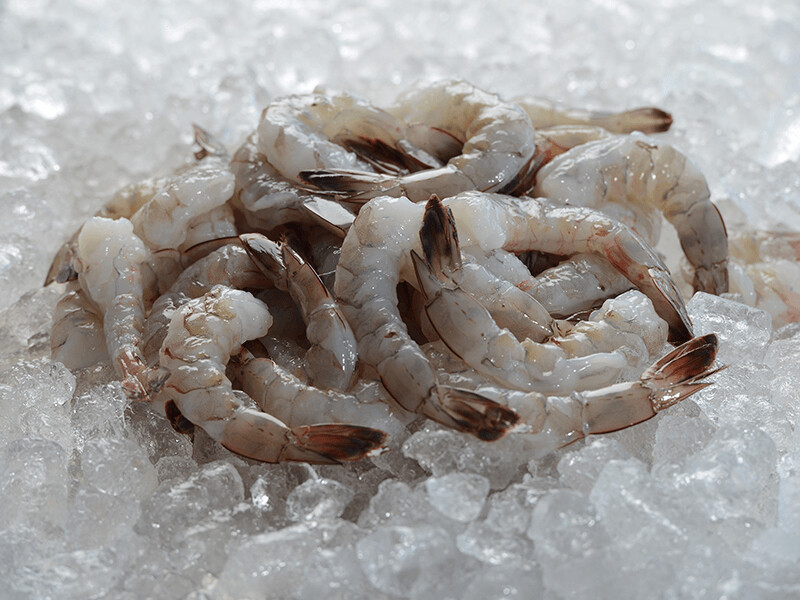 Frozen  Raw Tiger Prawns 16/20 1kg bag