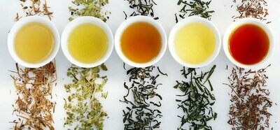 TE', INFUSI, CAMOMILLA, TISANE