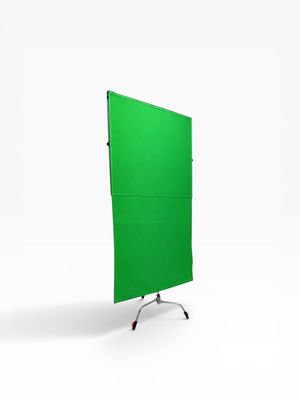 Floppy Green Chroma Key 48 Floppy Green Chroma Key 48"x 48"