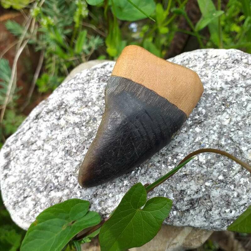 Anhänger aus Gamshuf mit Zwetschgenholz. Anhänger aus Gamshuf mit Zwetschgenholz.