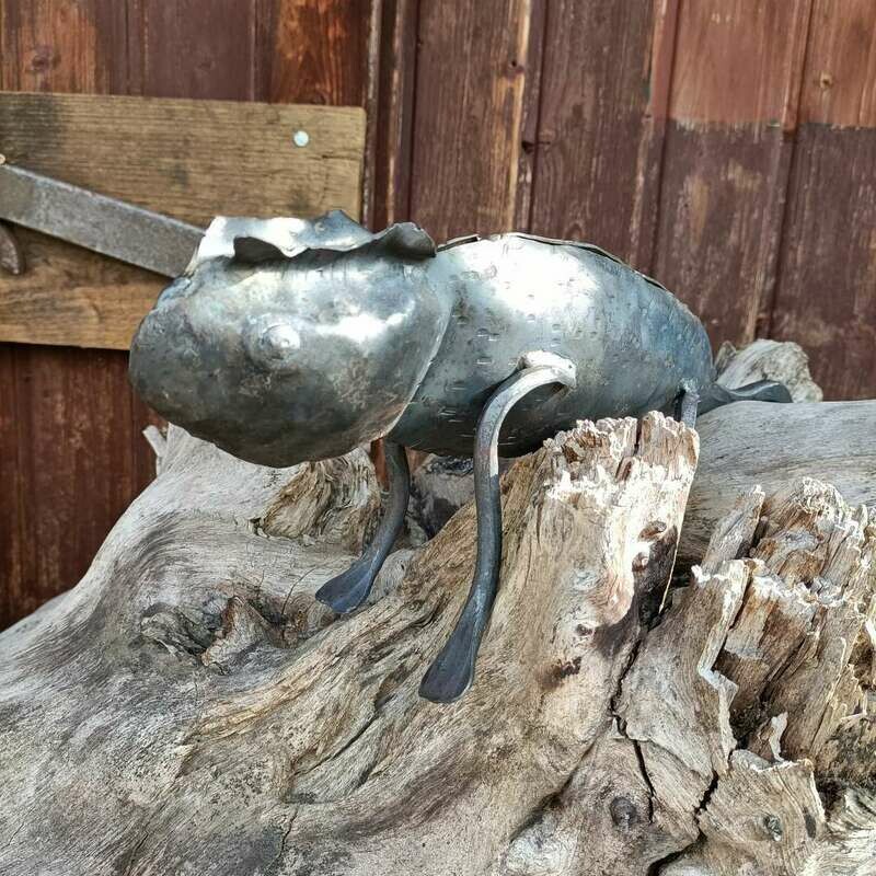 Chameleon made of iron untreated forged by hand Chameleon made of iron untreated forged by hand