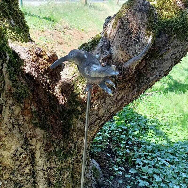 Geschmiedeter Kolibri aus Eisen. Unbehandelt Geschmiedeter Kolibri aus Eisen. Unbehandelt