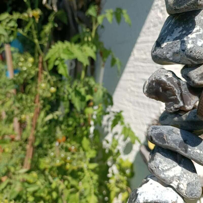 Anhänger Mammutelfenbein und Mooreiche. Anhänger Mammutelfenbein und Mooreiche.