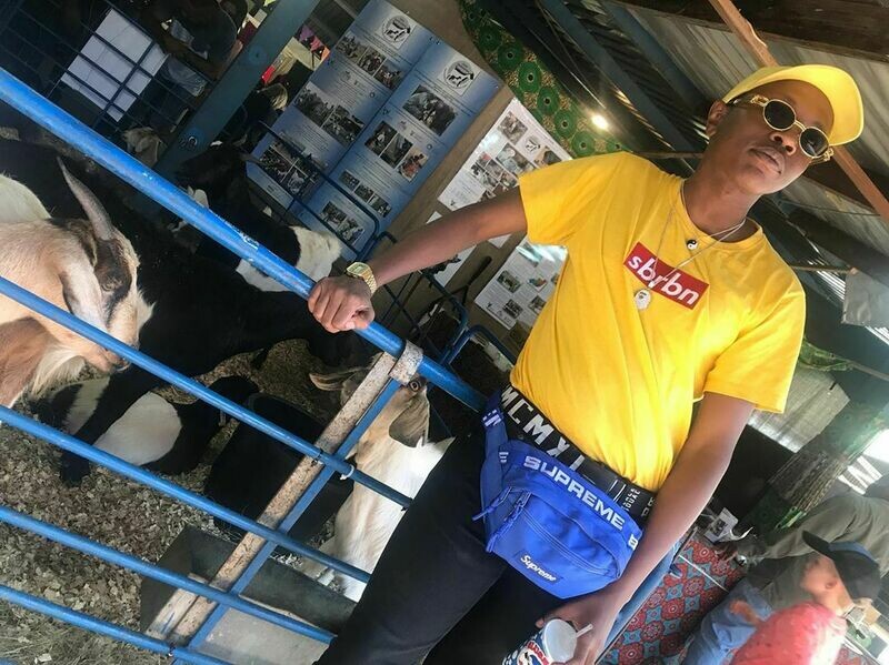 𝙨𝙗𝙧𝙗𝙣® Box Logo T: Yellow
