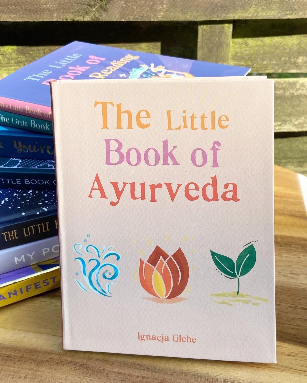 The Little Book of Ayurveda