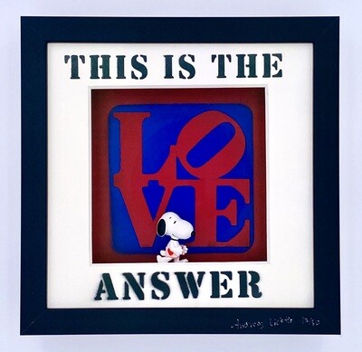 Andreas Lichter This is the answer Snoopy gerahmt Andreas Lichter This is the answer Snoopy gerahmt