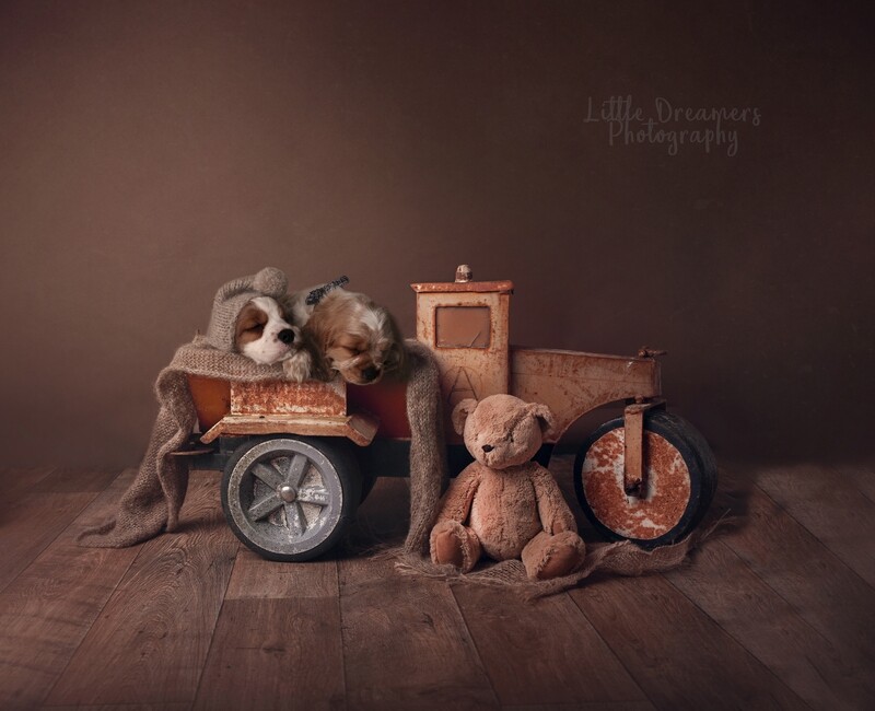 Vintage Truck with Ted Newborn Digital Backdrop Vintage Truck with Ted Newborn Digital Backdrop
