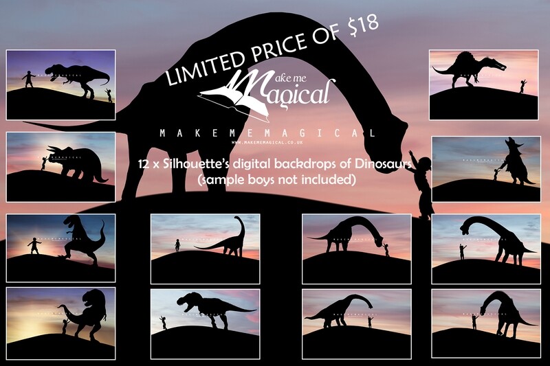 12 x Dinosaur Silhouette Digital Backdrops, Dinosaur digital backgrounds, Makememagical backdrops, Photography backdrops, dinosaurs, t-rex 12 x Dinosaur Silhouette Digital Backdrops, Dinosaur digital backgrounds, Makememagical backdrops, Photography backdrops, dinosaurs, t-rex