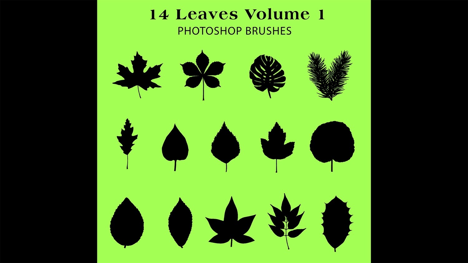 Photoshop Brushes - 14 Leaf silhouette Brushes Volume 1