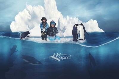 Digital Background | Digital Backdrop | Winter Backdrop | Iceberg Background | Penguin Background | Polar Backdrop | Ocean Backdrop | Snow Digital Background | Digital Backdrop | Winter Backdrop | Iceberg Background | Penguin Background | Polar Backdrop | Ocean Backdrop | Snow