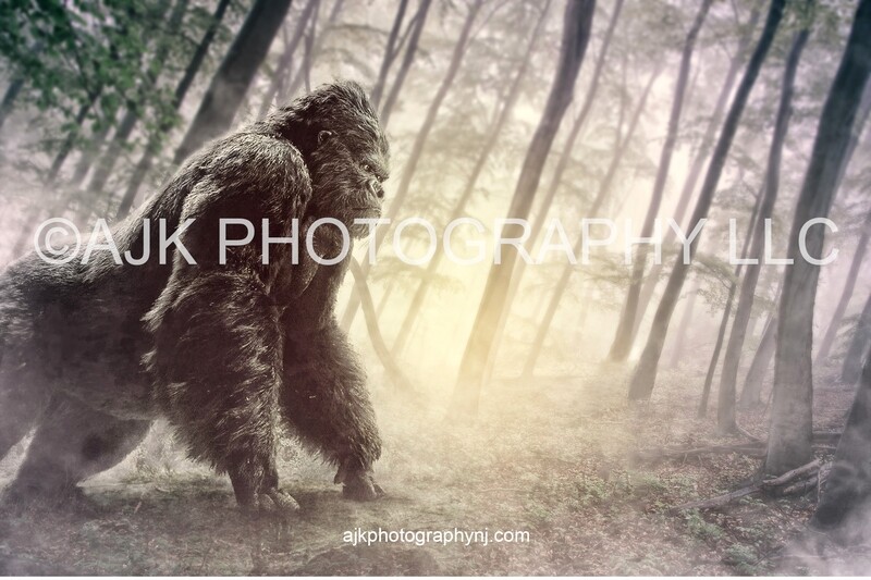 Gorilla in misty forest digital backdrop Gorilla in misty forest digital backdrop