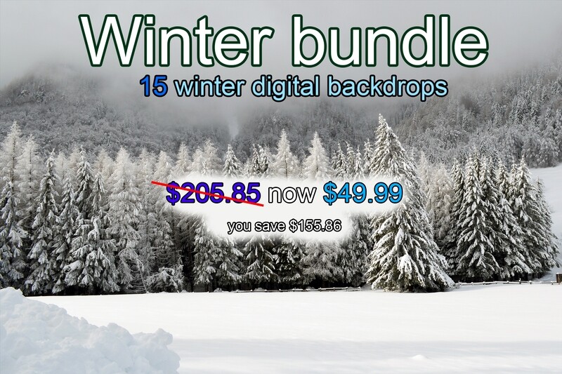 Winter bundle - 15 winter digital backdrops Winter bundle - 15 winter digital backdrops