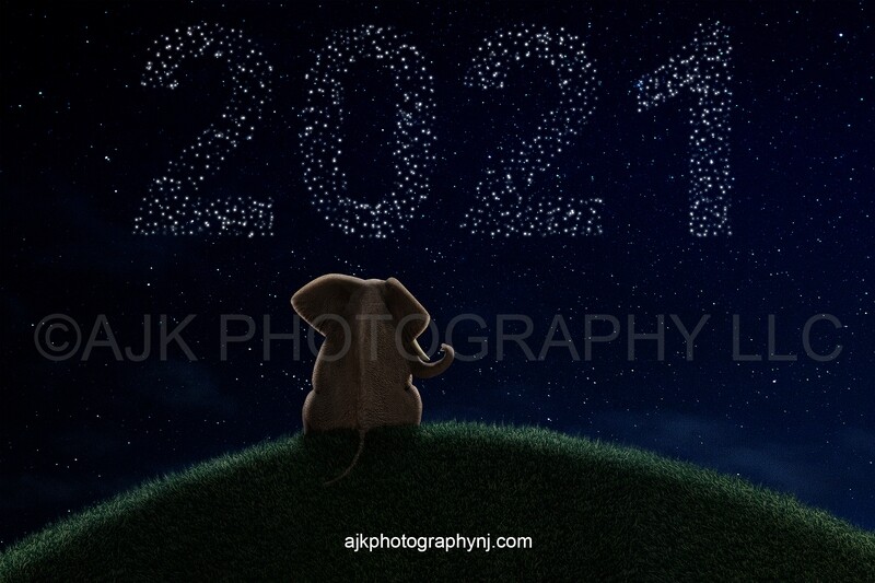 Graduation digital backdrop, 2021 digital background, elephant on grassy hill, stars lit up writing 2021 in night sky, digital background Graduation digital backdrop, 2021 digital background, elephant on grassy hill, stars lit up writing 2021 in night sky, digital background
