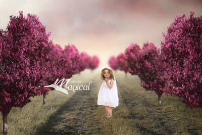 Valentines Day digital backdrop Heart shaped trees in a row by Makememagical Garden Digital background with pink heart trees and bokeh Valentines Day digital backdrop Heart shaped trees in a row by Makememagical Garden Digital background with pink heart trees and bokeh