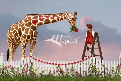 Valentines Day digital backdrop Heart Love shape giraffe digital backdrop with rose in garden with white fence and grass digital background Valentines Day digital backdrop Heart Love shape giraffe digital backdrop with rose in garden with white fence and grass digital background