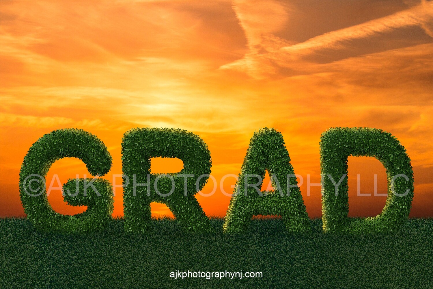 Giant bush letters spelling GRAD in grassy field and golden sky, Graduation digital backdrop