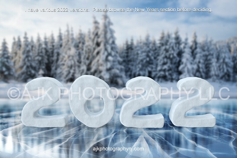 New years digital backdrop, 2022 snow numbers on frozen lake digital background