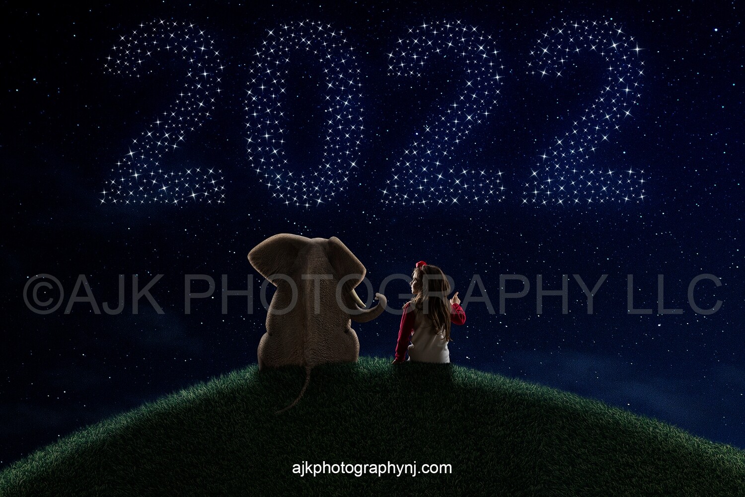 2022 new years digital background, elephant on grassy hill, stars lit up writing 2022 in night sky, digital background