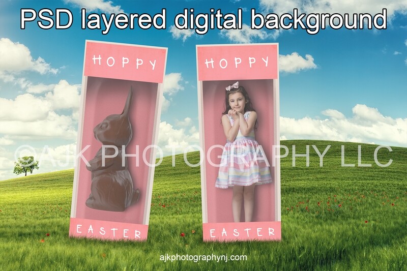 Easter digital backdrop, chocolate Easter bunny in pink box, grassy field, blue sky, digital background