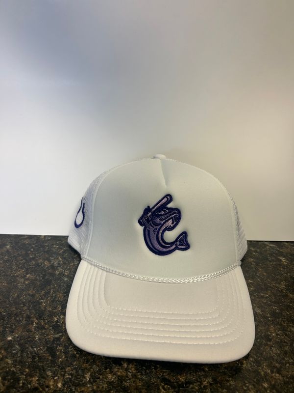 2024 Alzheimers Hat