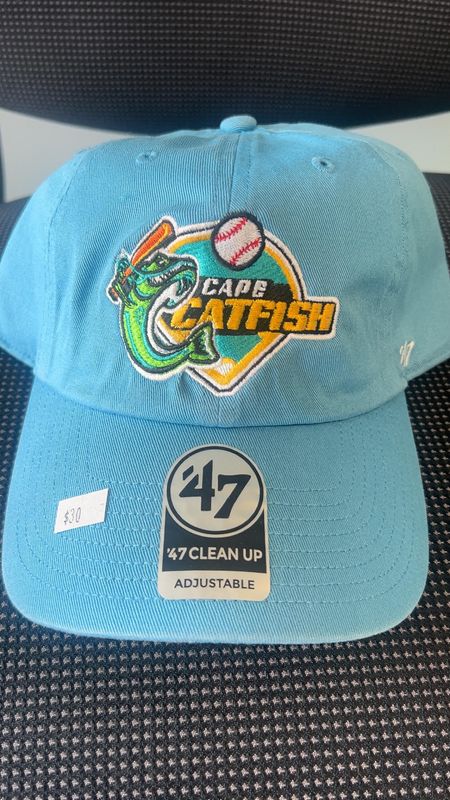 Teal Blue Catfish Diamond Cleanup 47 Hat