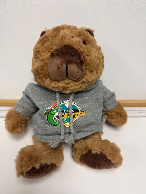 Cuddle Buddy Bear