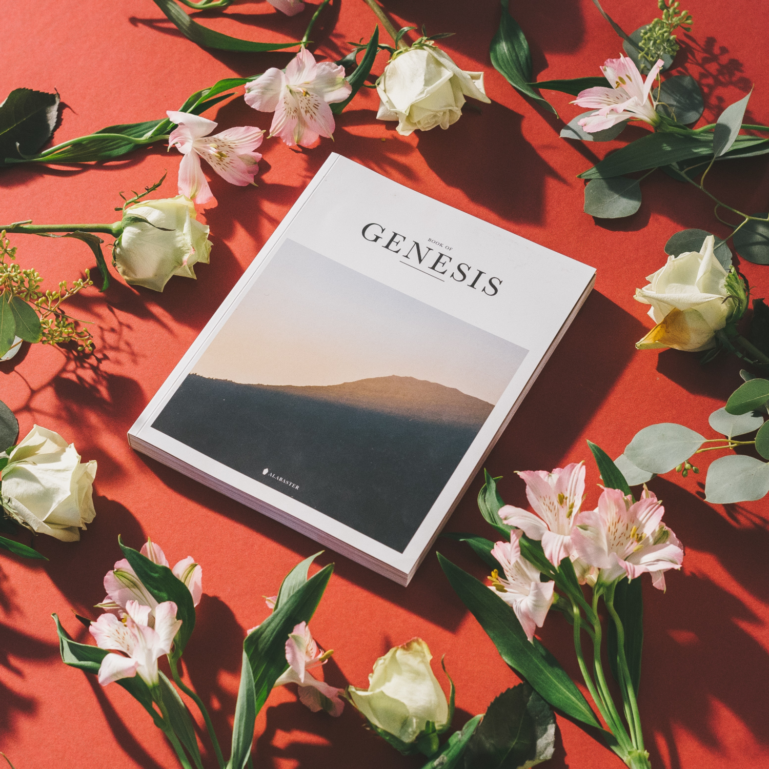 Genesis Magazine