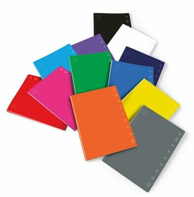 Quaderno f.to A4 Monocromo Pigna - 80g - 40 fogli - rigatura 5MM - Q5 mm s/margine