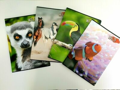 Confezione n.10 Quaderni f.to A4 Wild - 80g - 40 fogli - rigatura Q - Q5 mm c/margine