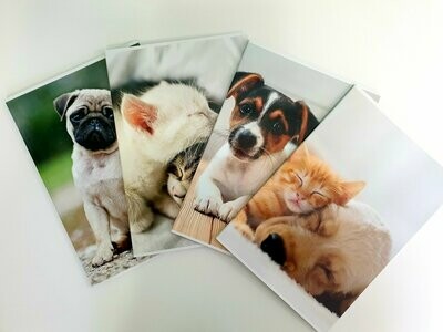 Confezione n.10 Quaderni f.to A4 Puppy- 80g - 40 fogli - rigatura Q - Q5 mm c/margine