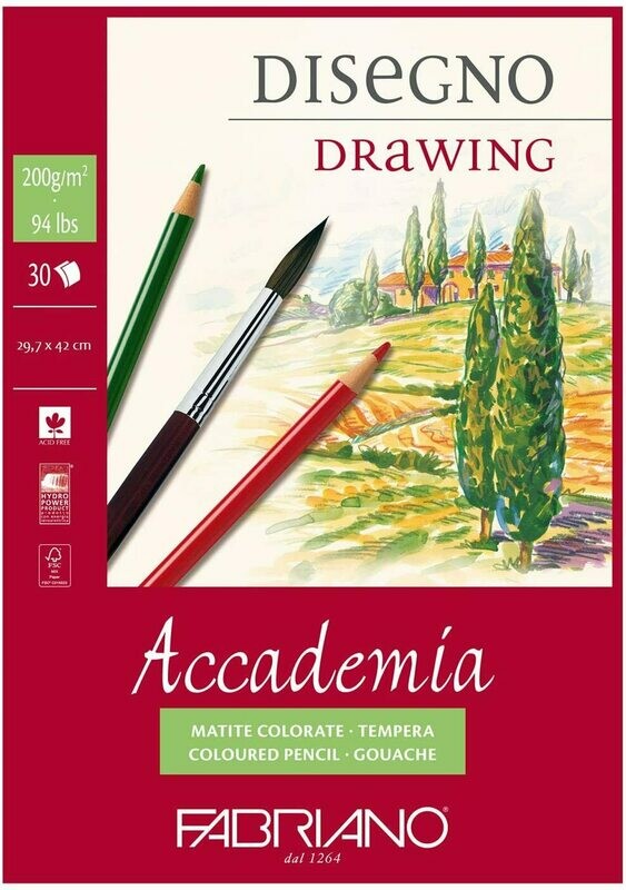 Fabriano | Blocco collato Disegno Accademia -  formato A3  29,7 x 42 cm - 200 g/mq - 30 fogli