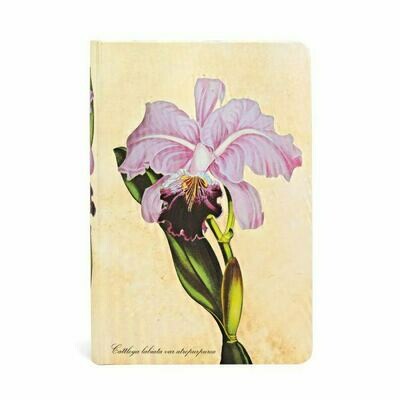 Paperblanks | Taccuino Mini - Orchidea Brasiliana - 9.5 X 14 X 1.8 cm