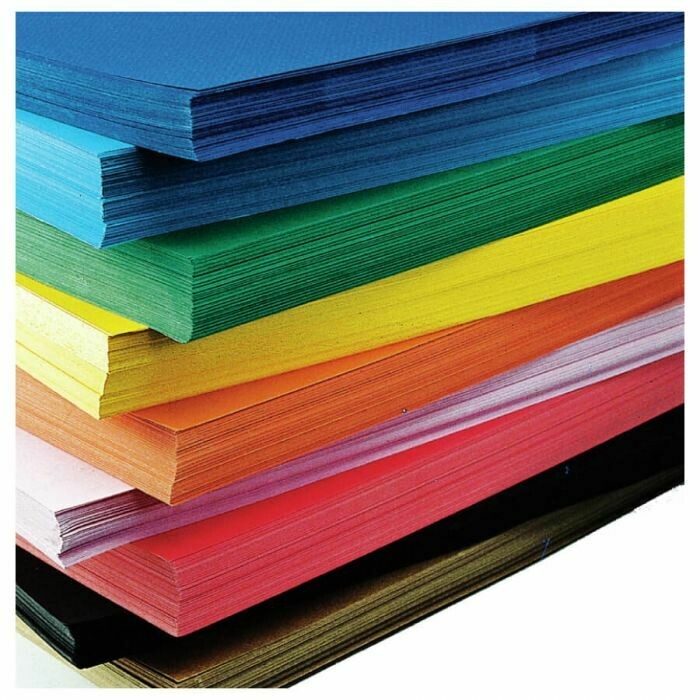 Canson | Cartoncino Bristol 100 x 70 cm - Colori Assortiti a scelta