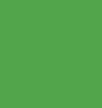 Inchiostro Acquerello Aquafine - n° 353 Hooker's Green Light 29.5 Ml