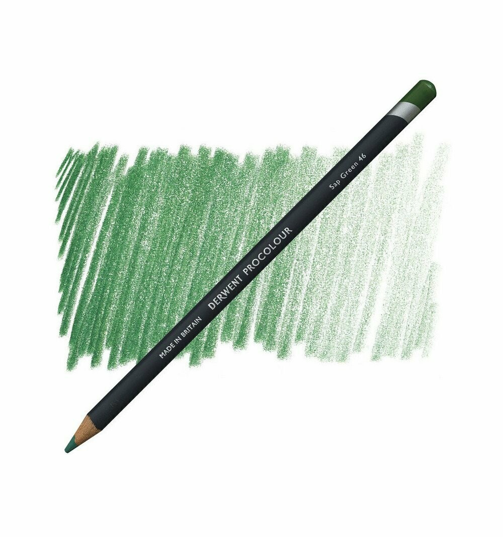 Matita Colorata Derwent Procolour - 46 Sap Green