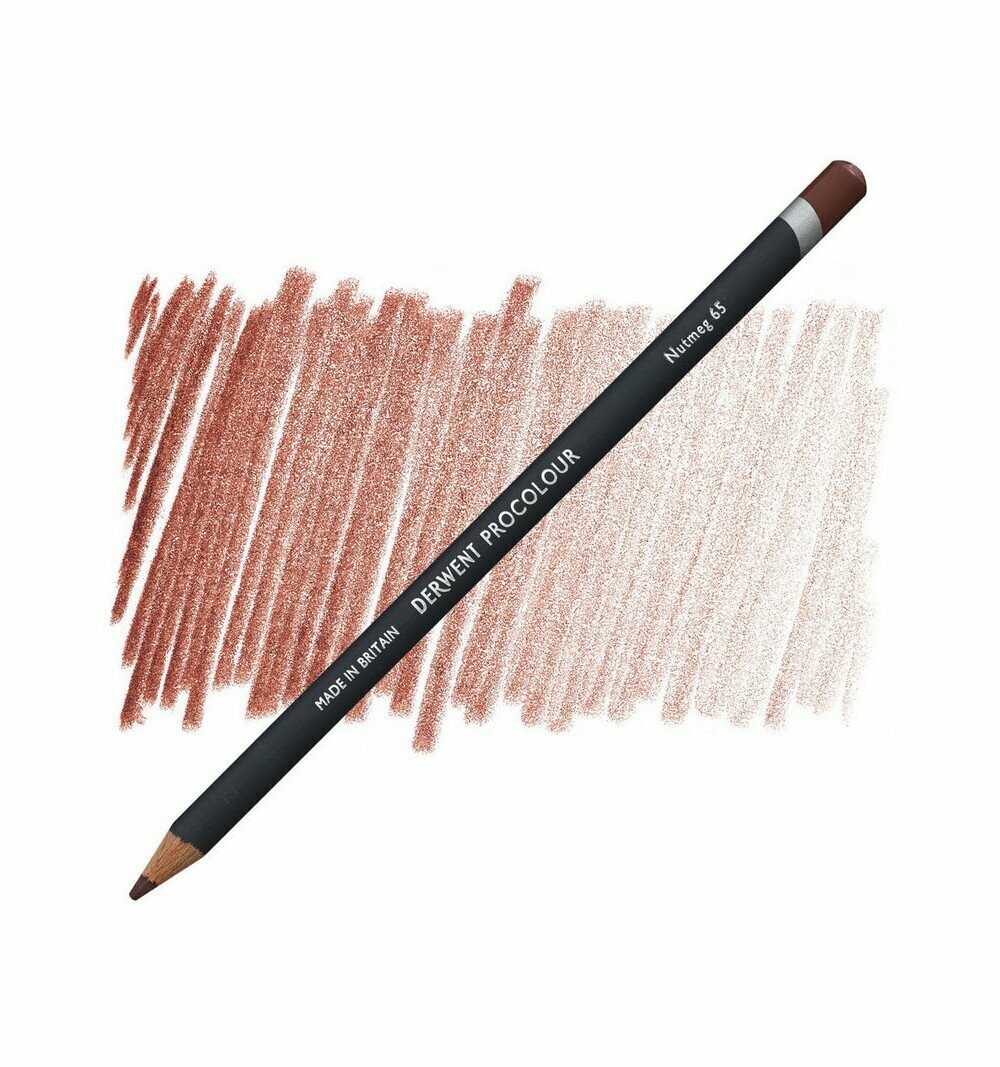 Matita Colorata Derwent Procolour - 65 Nutmeg